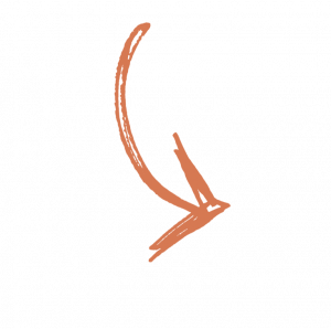 ts-bea-pijltje-2