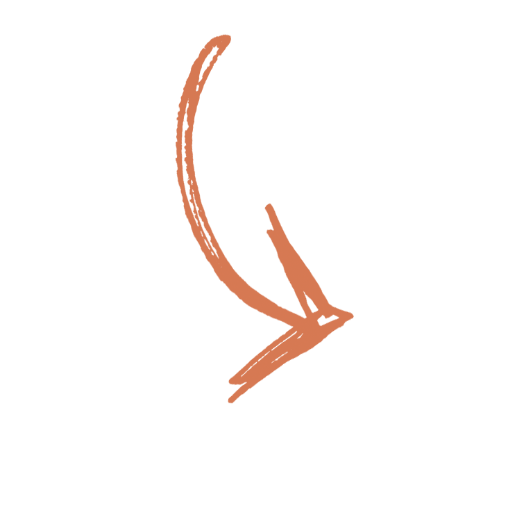 ts-bea-pijltje-2